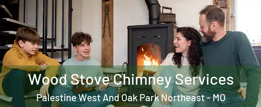 Wood Stove Chimney Services Palestine West And Oak Park Northeast - MO