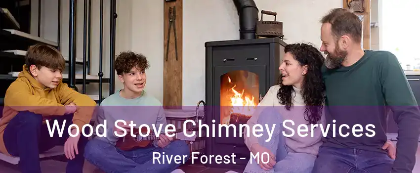 Wood Stove Chimney Services River Forest - MO