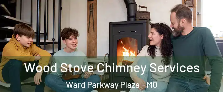 Wood Stove Chimney Services Ward Parkway Plaza - MO