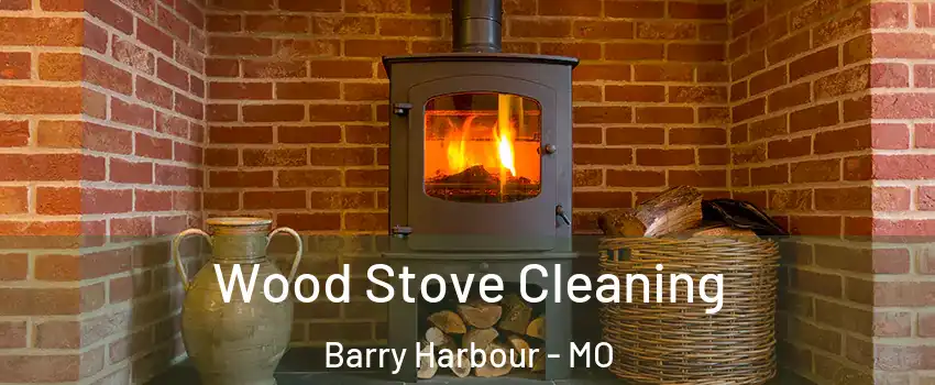 Wood Stove Cleaning Barry Harbour - MO