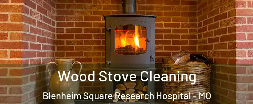 Wood Stove Cleaning Blenheim Square Research Hospital - MO