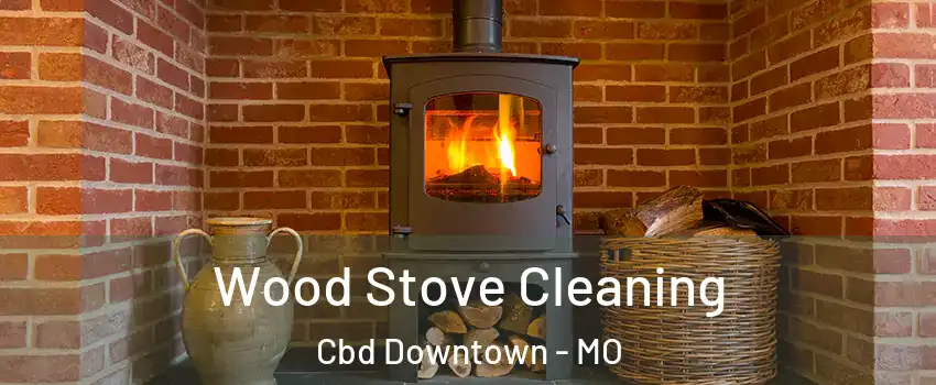 Wood Stove Cleaning Cbd Downtown - MO