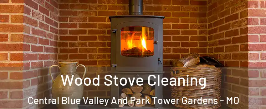Wood Stove Cleaning Central Blue Valley And Park Tower Gardens - MO