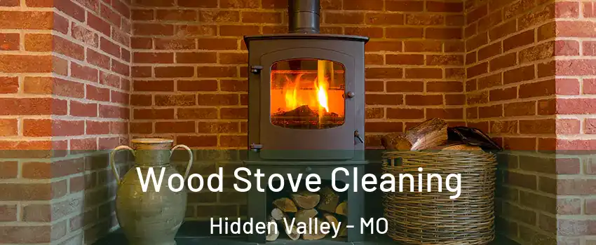 Wood Stove Cleaning Hidden Valley - MO