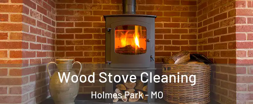 Wood Stove Cleaning Holmes Park - MO