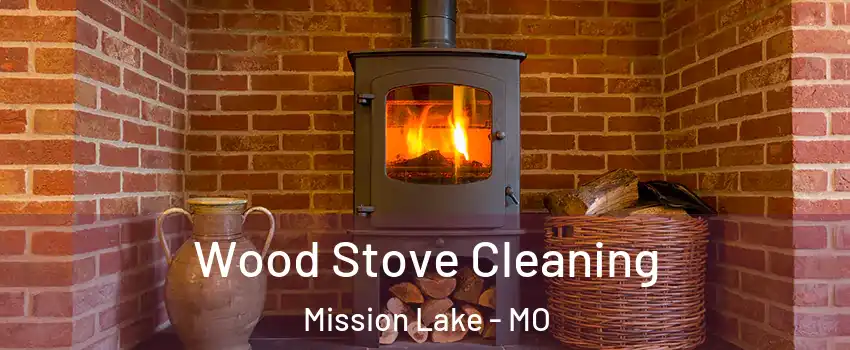 Wood Stove Cleaning Mission Lake - MO