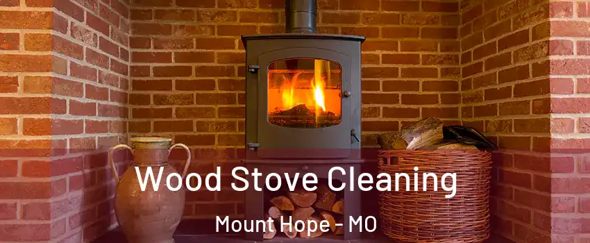 Wood Stove Cleaning Mount Hope - MO