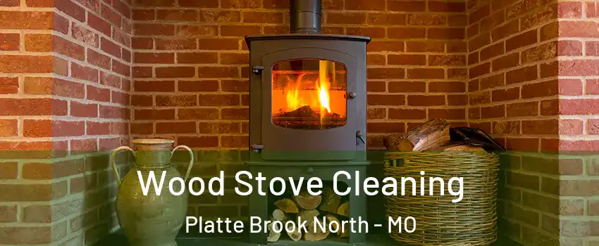 Wood Stove Cleaning Platte Brook North - MO