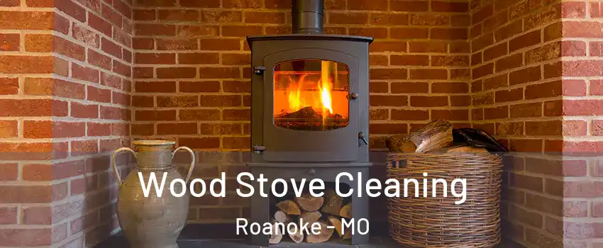 Wood Stove Cleaning Roanoke - MO