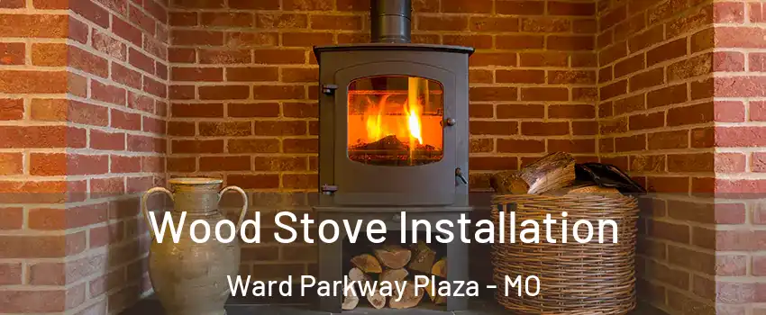 Wood Stove Installation Ward Parkway Plaza - MO