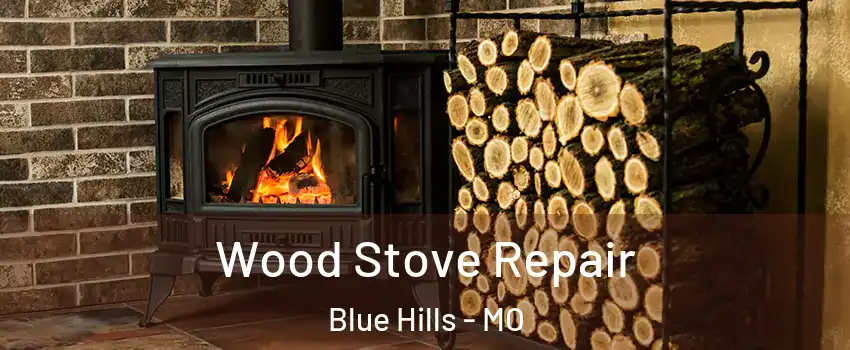 Wood Stove Repair Blue Hills - MO