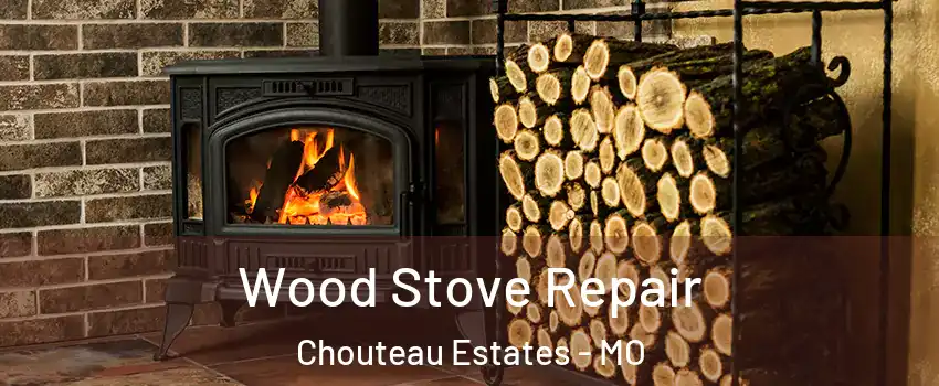 Wood Stove Repair Chouteau Estates - MO