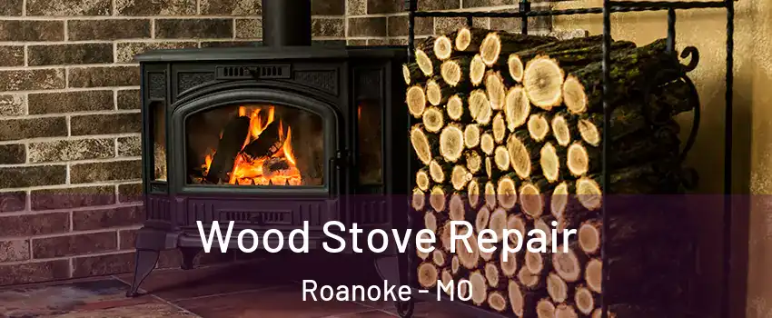 Wood Stove Repair Roanoke - MO